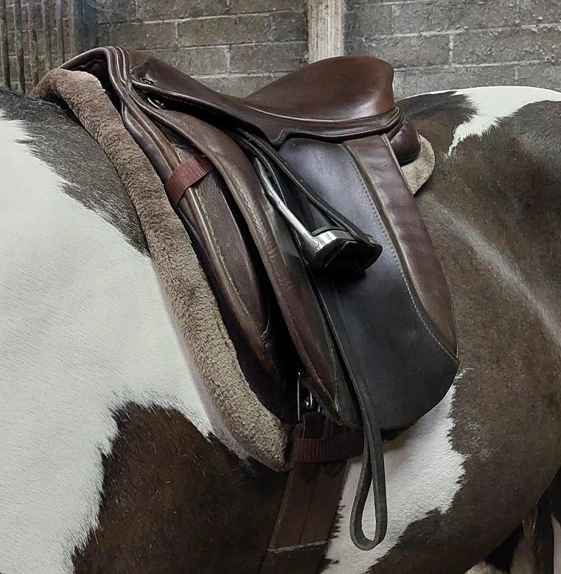 Horse Wear Numnahs Saddle Pads Halters KAROO EQUINE