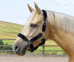 Faux Sheepskin Padded Headcollar- Black, Grey and Navy Blue